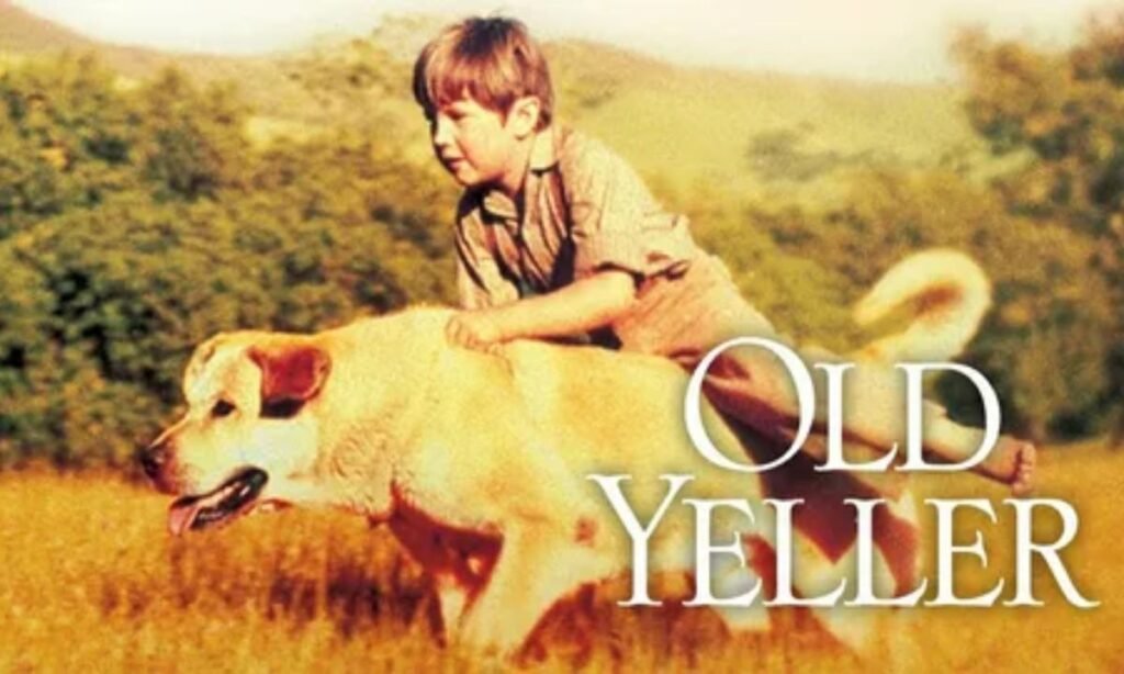 Old Yeller (1957): Ein Klassiker der Familienunterhaltung